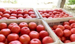 林北吃瓜,揭秘娱乐圈背后的那些事儿