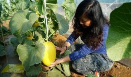 吃呱呱带你吃瓜,吃瓜群众带你领略美食世界