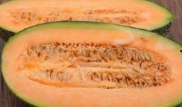 吃哈密瓜解药,神奇解药，夏日消暑新选择