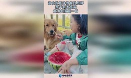 吃瓜冲,揭秘娱乐圈背后的秘密与真相