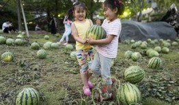 吃瓜书田,揭秘娱乐圈背后的秘密与真相