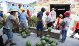 吃瓜群众瓜保熟吗,揭秘吃瓜群众的智慧与乐趣