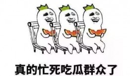 开朗吃瓜群众的句子,揭秘娱乐圈的欢乐与八卦