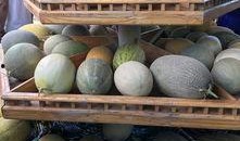 观众在线吃瓜,观众在线吃瓜，揭秘娱乐圈幕后风云