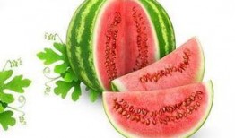 吃瓜的倪斯,揭秘娱乐圈幕后故事