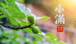 小满吃瓜的习俗,探寻传统习俗中的甜蜜记忆