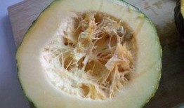 蒸着吃的瓜都有啥瓜