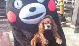 瓜哥带你吃大瓜搞笑内容,欢乐无限