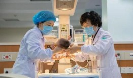 丽水护士吃瓜,一场网络热议背后的真相与反思