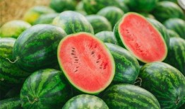 吃豆子再吃瓜,一场味蕾的冒险之旅