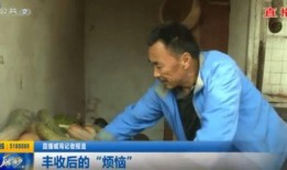 庄户老头吃瓜,品味乡村生活乐趣