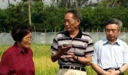 吃瓜吃到老同学,同学生涯的酸甜苦辣回忆录