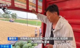 商丘市吃瓜,品味清凉，畅享夏日风情