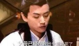 吃瓜奇葩台词大全,揭秘网络热词背后的趣味与智慧