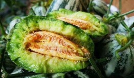 山东工业吃瓜视频,吃瓜视频揭秘工业魅力瞬间