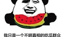 吃瓜群众之人,揭秘人生百态的旁观者视角