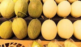 梦见吃西瓜哈密瓜,揭秘西瓜与哈密瓜的奇幻之旅