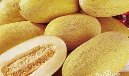 吃四月瓜好吗,品尝美味助健康”