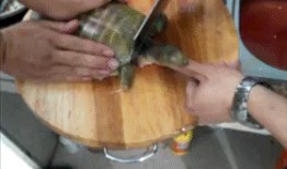 吃瓜群众 女 gif,GIF表情包趣味横生