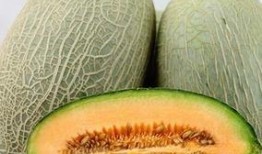 哈密瓜呢怎么吃,解锁夏日清新口感