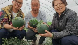 吃手剥瓜吃皮大网红,吃手剥瓜皮，引领美食新风尚