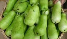 冷冻后葫芦瓜怎么吃,冷冻葫芦瓜的多样食用攻略