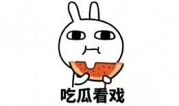 吃瓜打赌后续,揭秘幕后真相与精彩对决