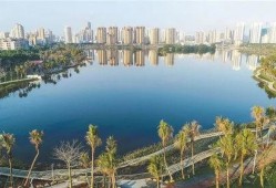 海口红城湖吃瓜,夏日消暑吃瓜好去处