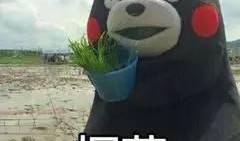 吃瓜观众的朋友,朋友视角下的娱乐圈风云