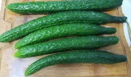 大头吃腌过的瓜,大头一尝难忘的味蕾之旅