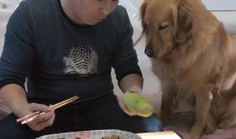 吃瓜和看客的区别,两种心态的深刻对比