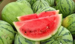 吃瓜鲜生,揭秘娱乐圈幕后故事