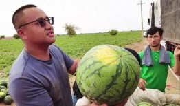 陈康吃瓜,揭秘娱乐圈幕后故事