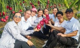 吃瓜观众的朋友,朋友视角下的娱乐圈风云