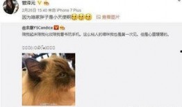 吃瓜扒姐微博,娱乐圈幕后真相大曝光