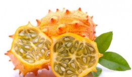 线瓜适合减肥吃吗怎么吃,如何科学搭配，轻松享瘦