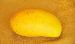 立秋了吃籽瓜好吗,美味与健康的双重享受