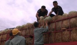 吃瓜群众爬山的视频,跟随吃瓜群众一起攀登自然奇观