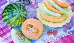 补气吃中药能否吃哈密瓜