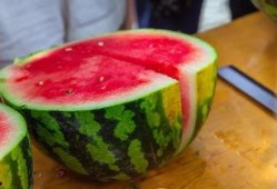 浙江大学直播吃瓜,一场别开生面的校园美食盛宴