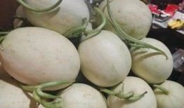 顶流社 吃瓜,吃瓜群众如何成为娱乐圈风向标