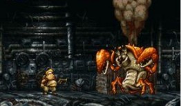 弹头直播吃瓜,揭秘娱乐圈幕后真相