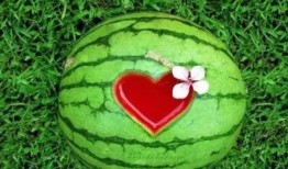 小孩西瓜地吃瓜