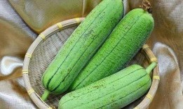 主播吃整条水瓜,挑战极限引网友热议！