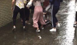 吃瓜群众 女 gif,GIF表情包趣味横生