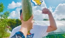 送上学吃的瓜,送上学路上的甜蜜瓜果时光