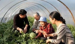 吃瓜找牛,牛群背后的秘密生活