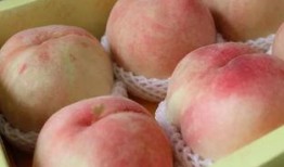 林北吃瓜,揭秘娱乐圈背后的那些事儿