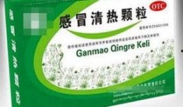 风热感冒可以吃哈密瓜,天然食疗养生之道