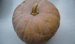 体育吃瓜占卜,揭秘那些不为人知的幕后故事